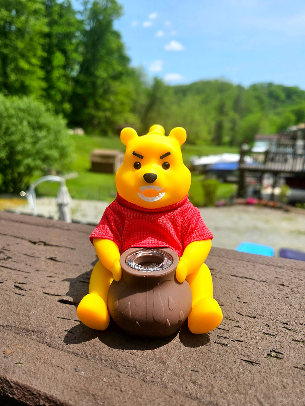 Honey Bear Silicone Water Pipe