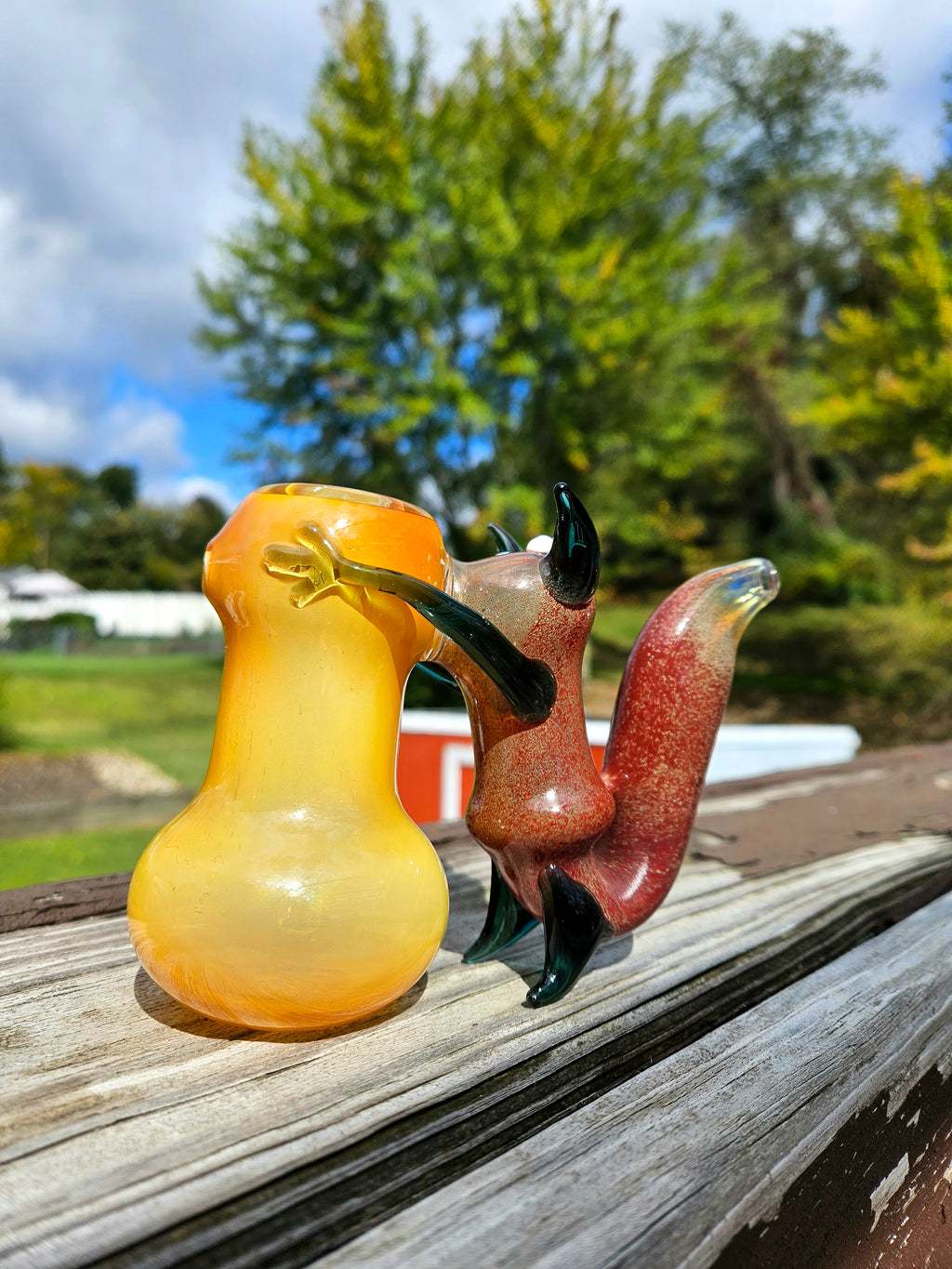 Squirrel Glass Water Pipe