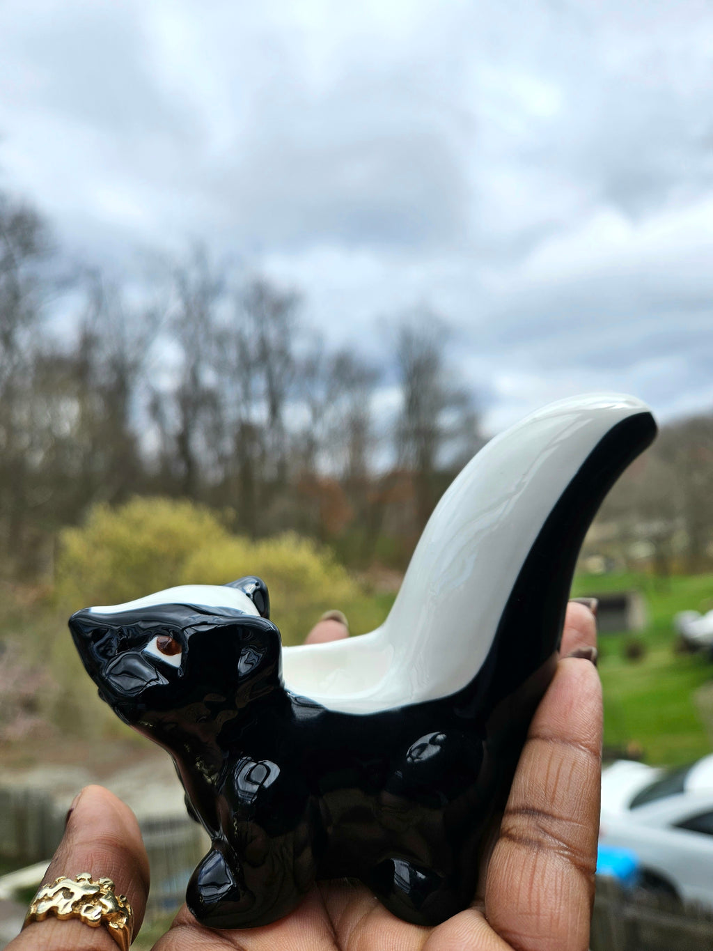 Skunk Ceramic Hand Pipe