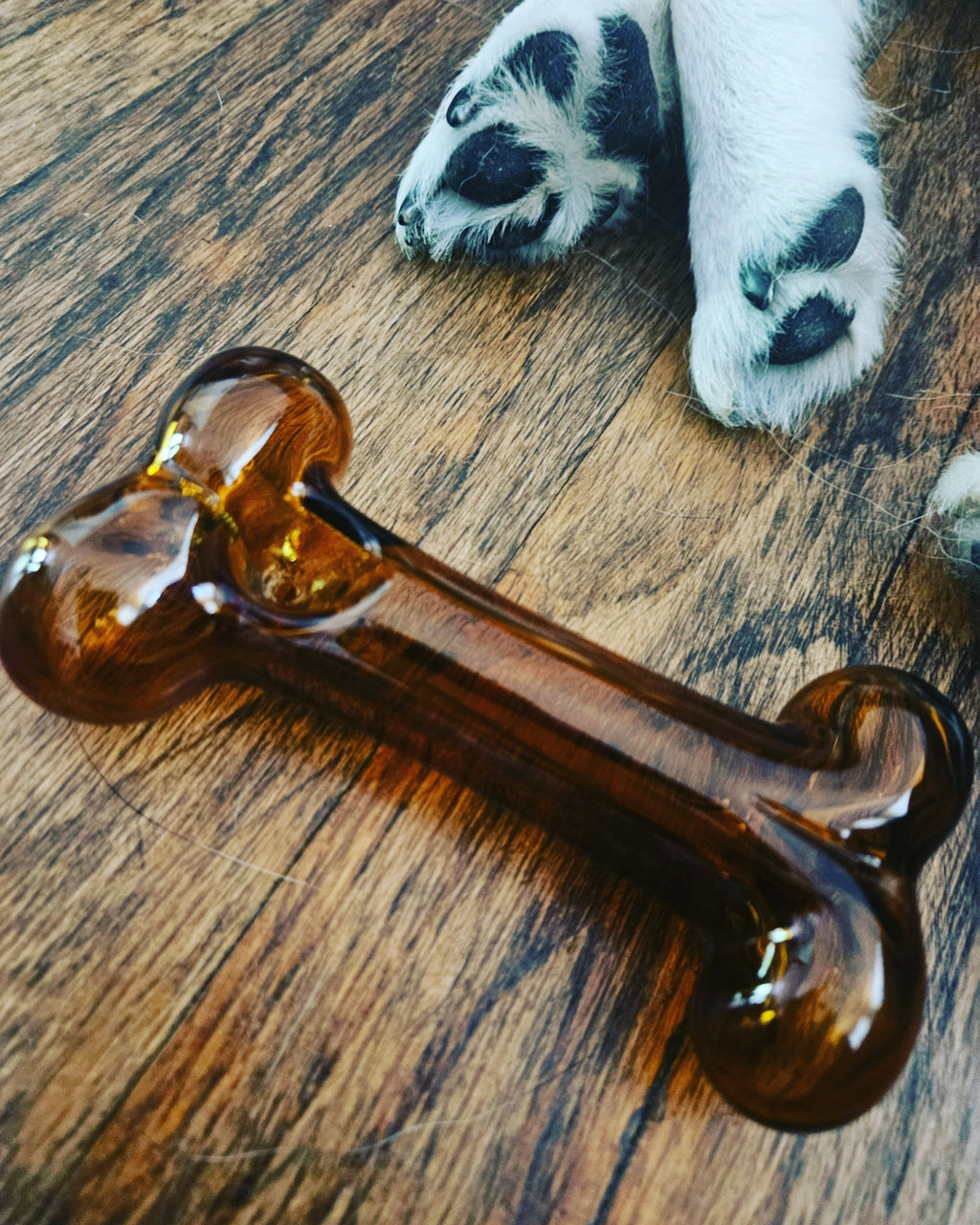 Dog Bone Glass Hand Pipe