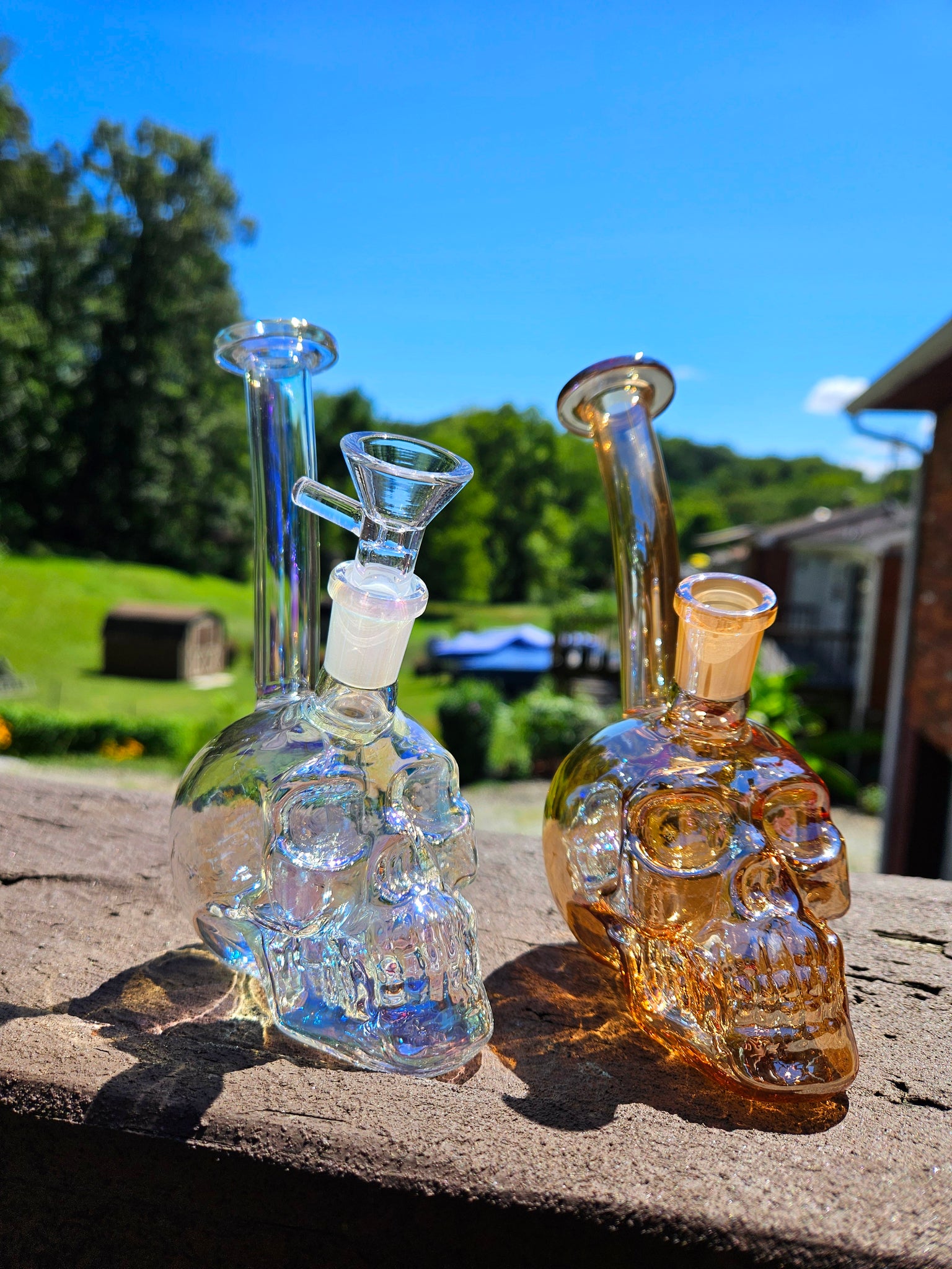 Skull 7" Water Pipe