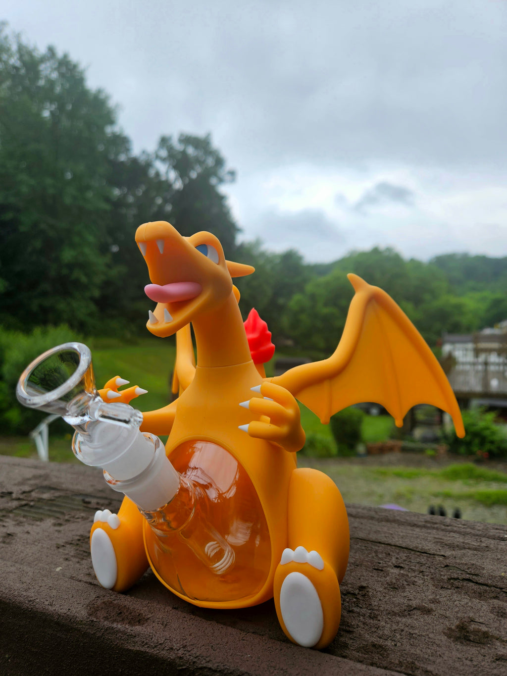 Char Dragon Silicone & Glass Water Pipe