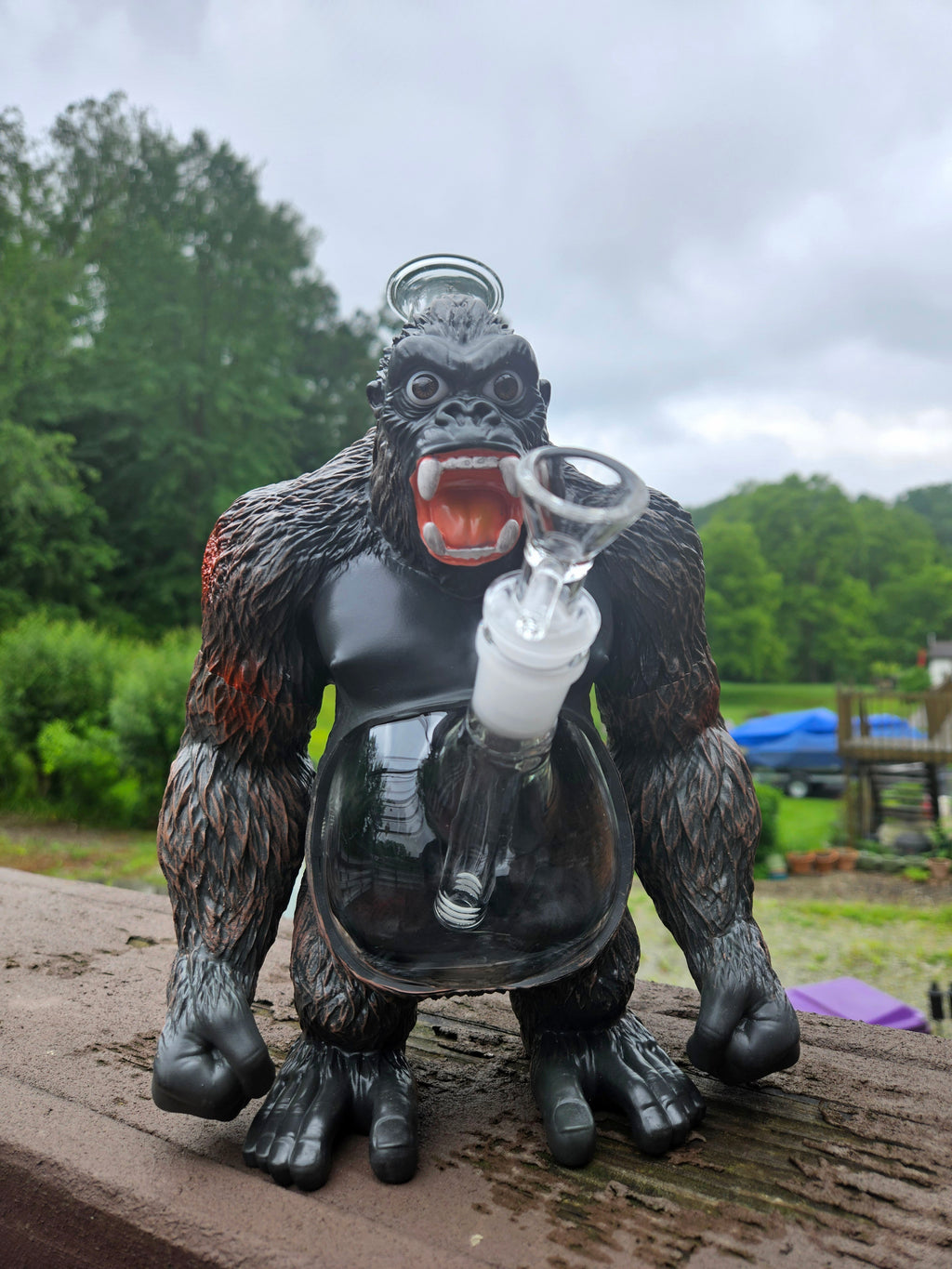 Gorilla Water Pipe
