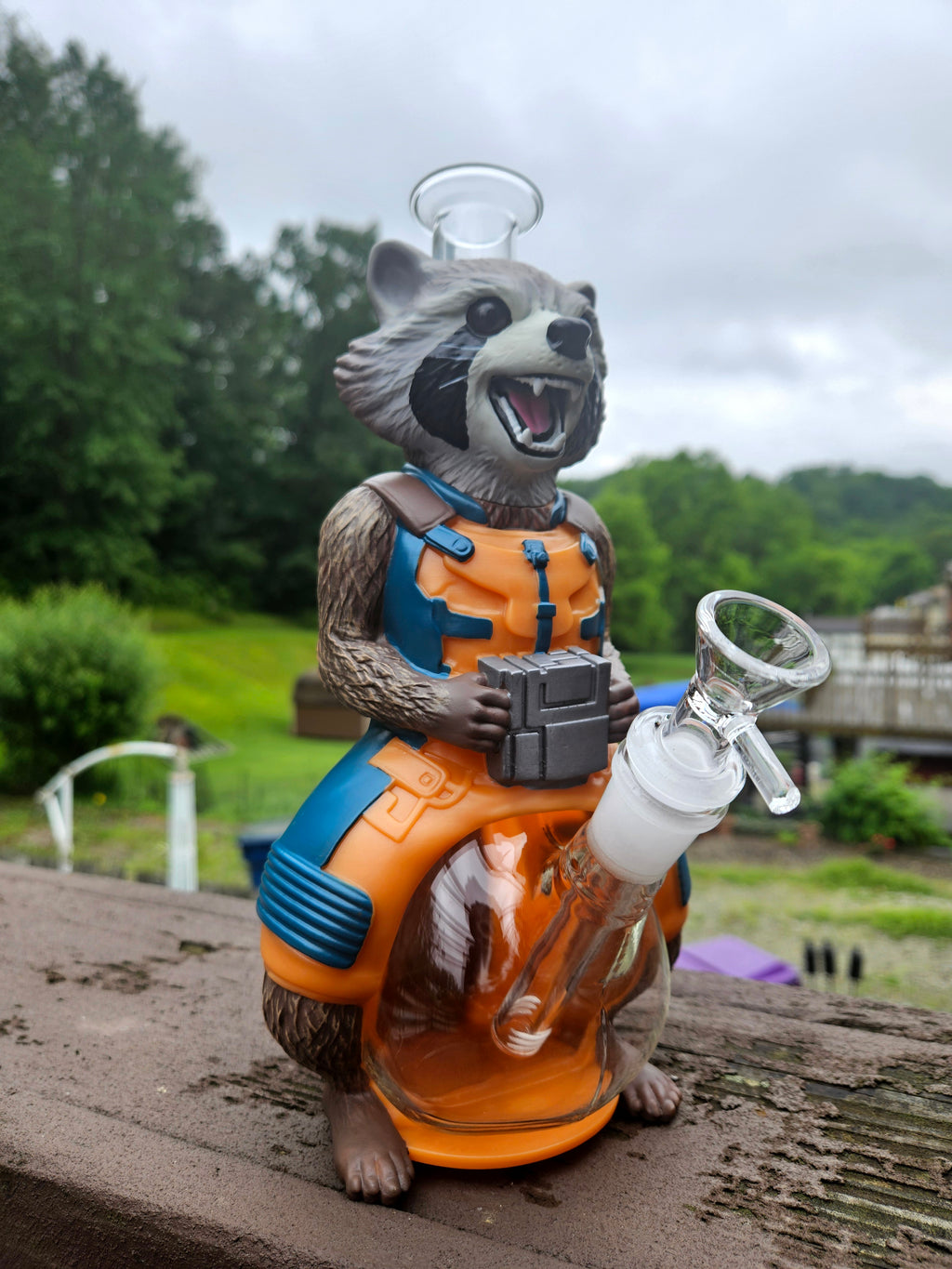 Racoon Guardian Water Pipe