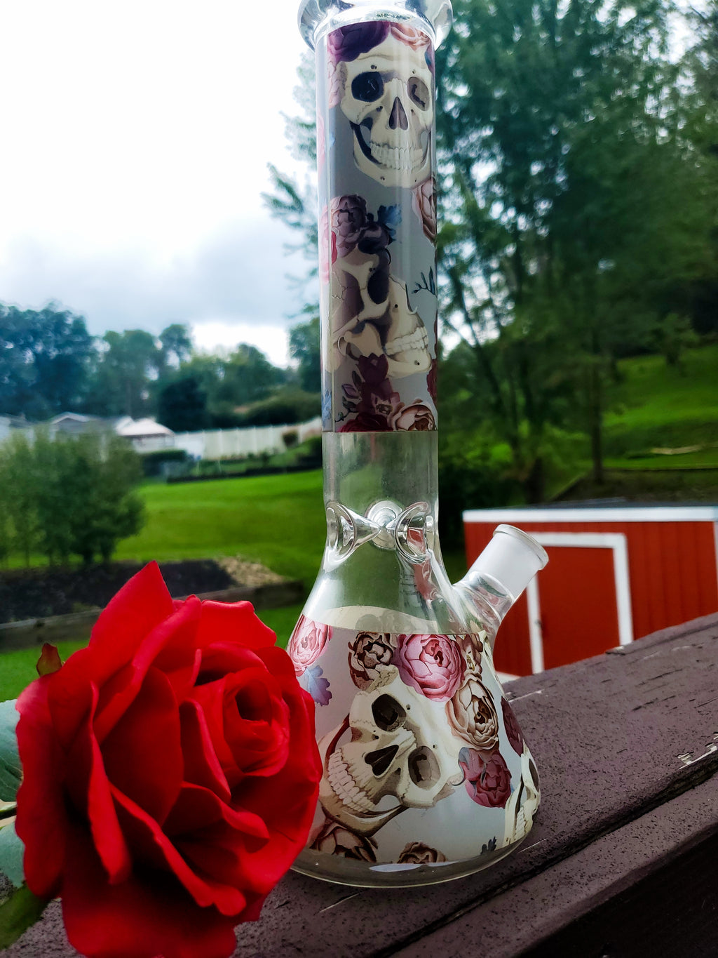 Skulls and Roses Water Pipe