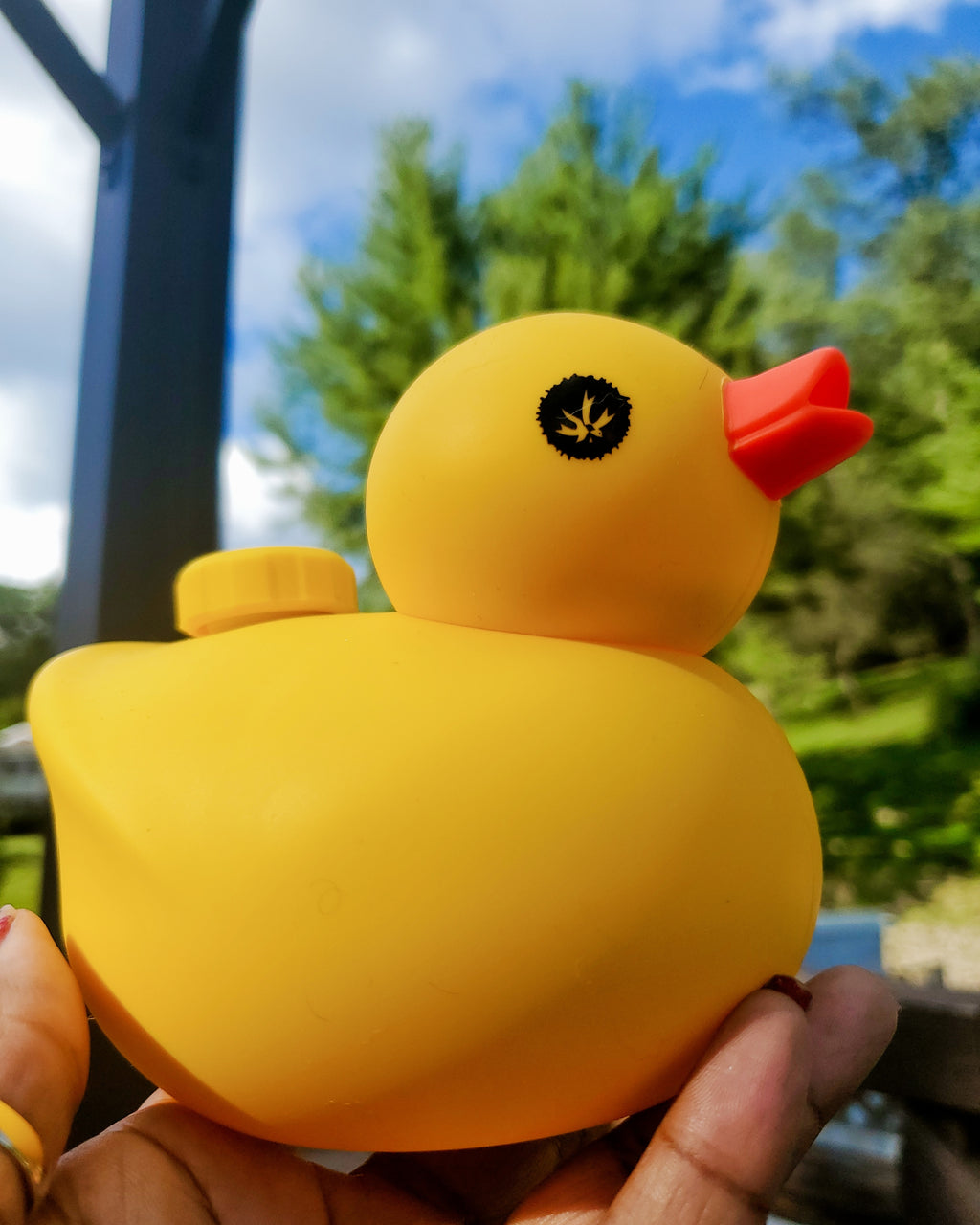 Duck Silicone Water Pipe